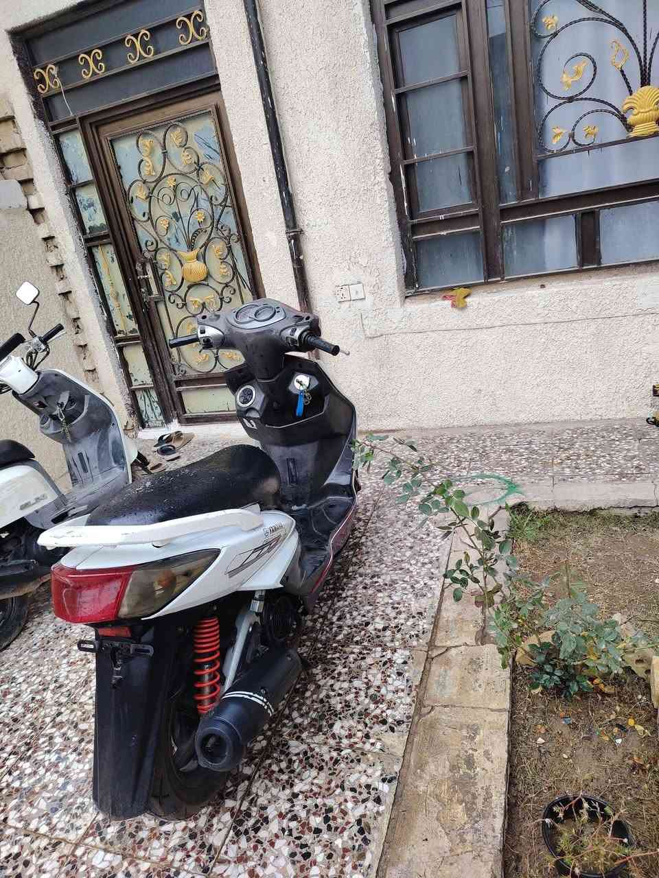 سلام عليكم سكنس فحل البيع مكان مسيب حي ال مصطفى دراجه كله كامله مجرد كفرات شويه تعبانه سعر 475 بيه مجال حك جيه ***********
