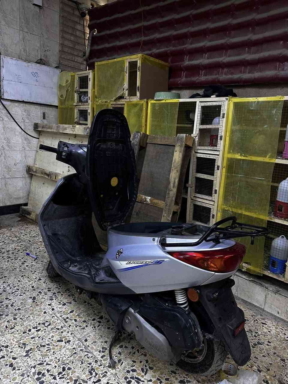 بغبغاء نوزل للبيع ***********
