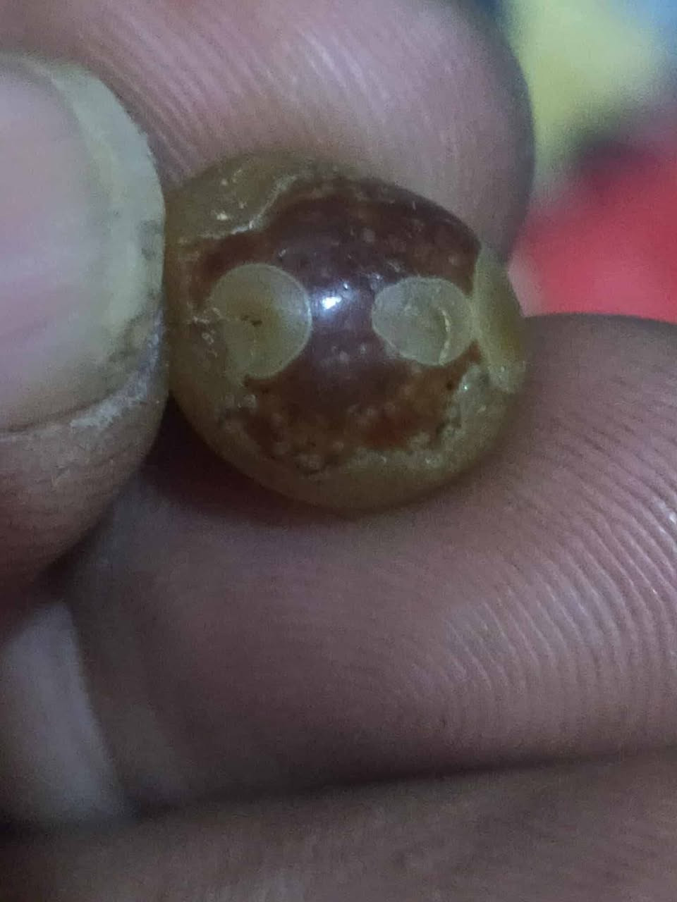 للبيع فقط مجموعه احجار كريمه متنوعه


**إذا كنت صاحب هذا الإعلان وتريد حذفه لأي سبب، رجاءا أرسل رسالة إلى الدعم الفني**