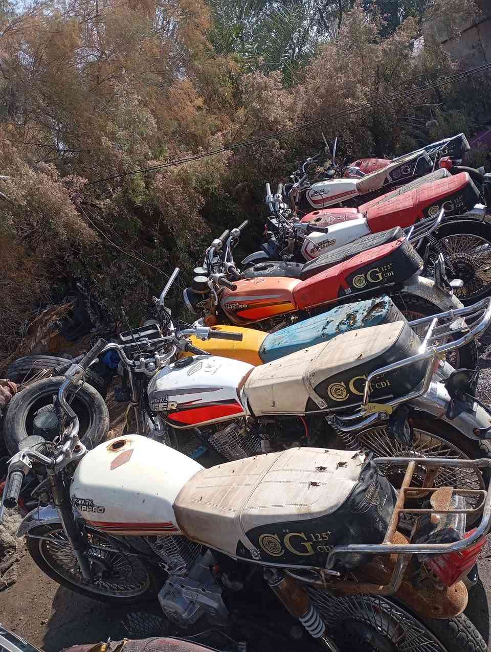 سلام عليكم دراجات لبيع نامه برو كلهن اوراق صولي صولي مديل 22و23كله شغال دراجات بيعهن شلعه وحده 11دراجه  بس عوزهن ترتيب لين نتركن ملات مطعم مكانهن ديوانيه شراي يتصل ***********
