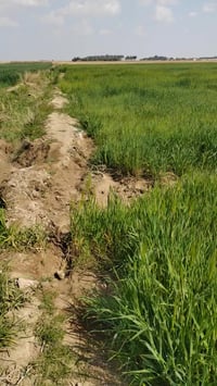 ٤ دوانم • سند ٢٥ • مخدومة كهرباء