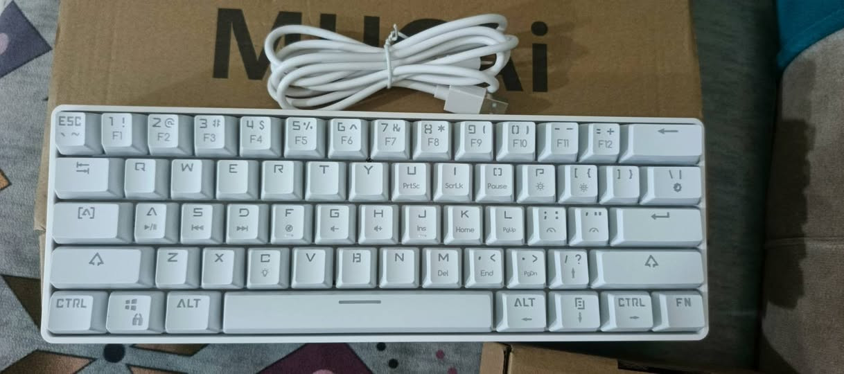 كيبورد ميكانيكي RGB متوفر عدد 2 سعر القطعه 15


**إذا كنت صاحب هذا الإعلان وتريد حذفه لأي سبب، رجاءا أرسل رسالة إلى الدعم الفني**