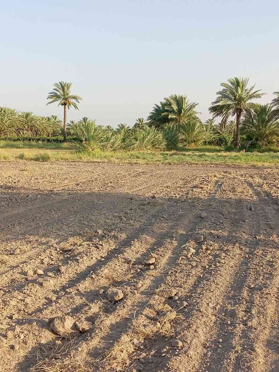 دونمين أرض للبيع
▪️ النوع: طابو صرف زراعي – سند 25
▪️ المعاملة: مداور، نقل الملكية باسمي خلال يوم واحد
▪️ الموقع: العلاك – نهاية شارع البوحموسة

🔹 المميزات:
تتوفر كافة الخدمات
ماء
كهرباء
مدارس قريبة
شارع مبلط
📹 جميع التفاصيل موضحة داخل الفيديو
📩 للاستفسار ومعرفة السعر:
مراسلة الصفحة أو الاتصال على الرقم التالي:
(***********)
