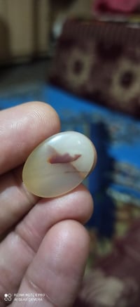 تسبيح • دعاء • صلوة