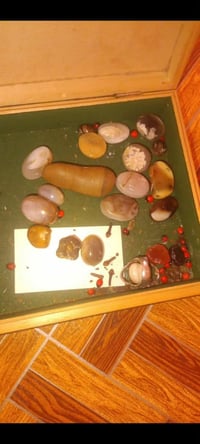 سعر خاص • مناسب