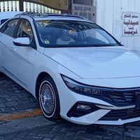 للبيع الانترا ٢٤ تجميع ماشيه ٤٠ تريدها هيه والغراظ تريدها بدون غراظ ٠٧...