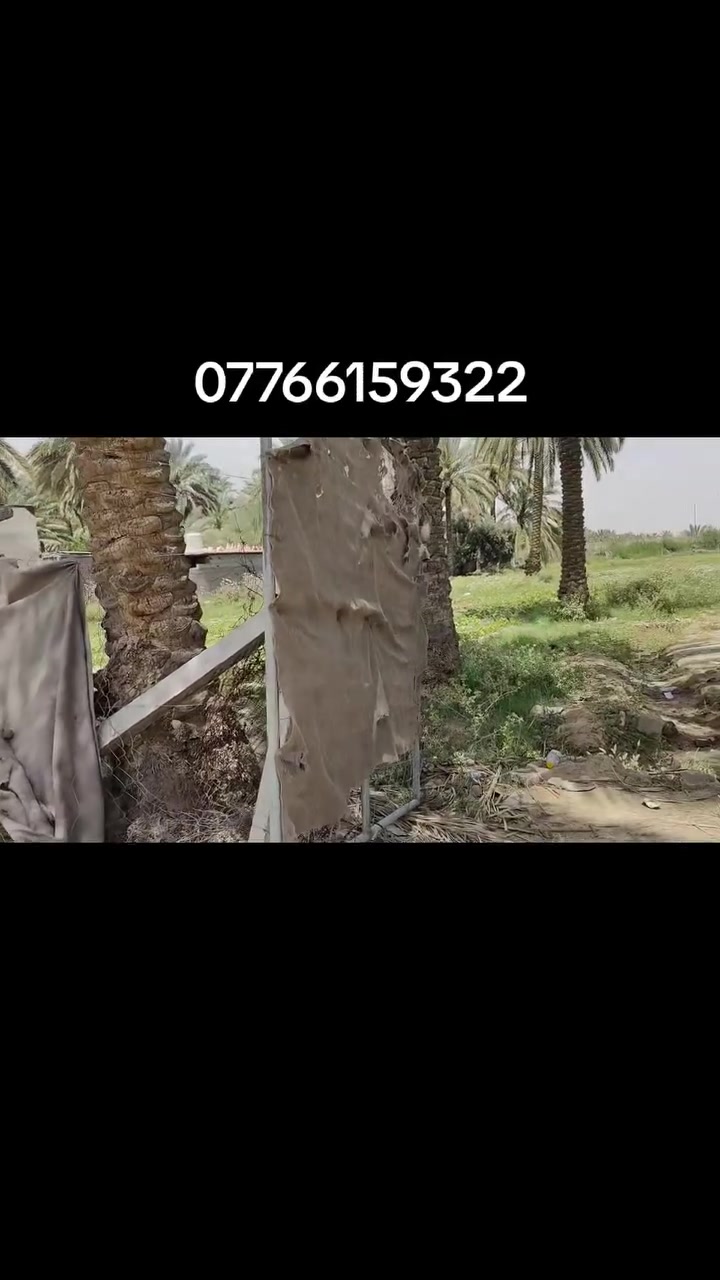 دونم ونصف طابو سند 25 تحويل مباشر للمشتري موقع شارع بغداد كربلاء سايد الزوار عمود 138 وتنزل اقل الكيلو واجه 40 على شارعين صايره سعر وتفاصيل اخرى اتصال ***********
