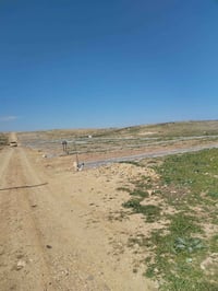 أرض مقبرة • طريق المنشأة • ١٠٠م