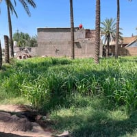 ارض للبيع • ارض • عقار • قطع اراضي • جسر الهاشمية • طريق الحولي الحمزة...