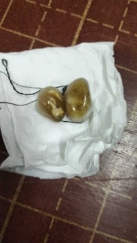 نثيه • فحل • سليمانيات