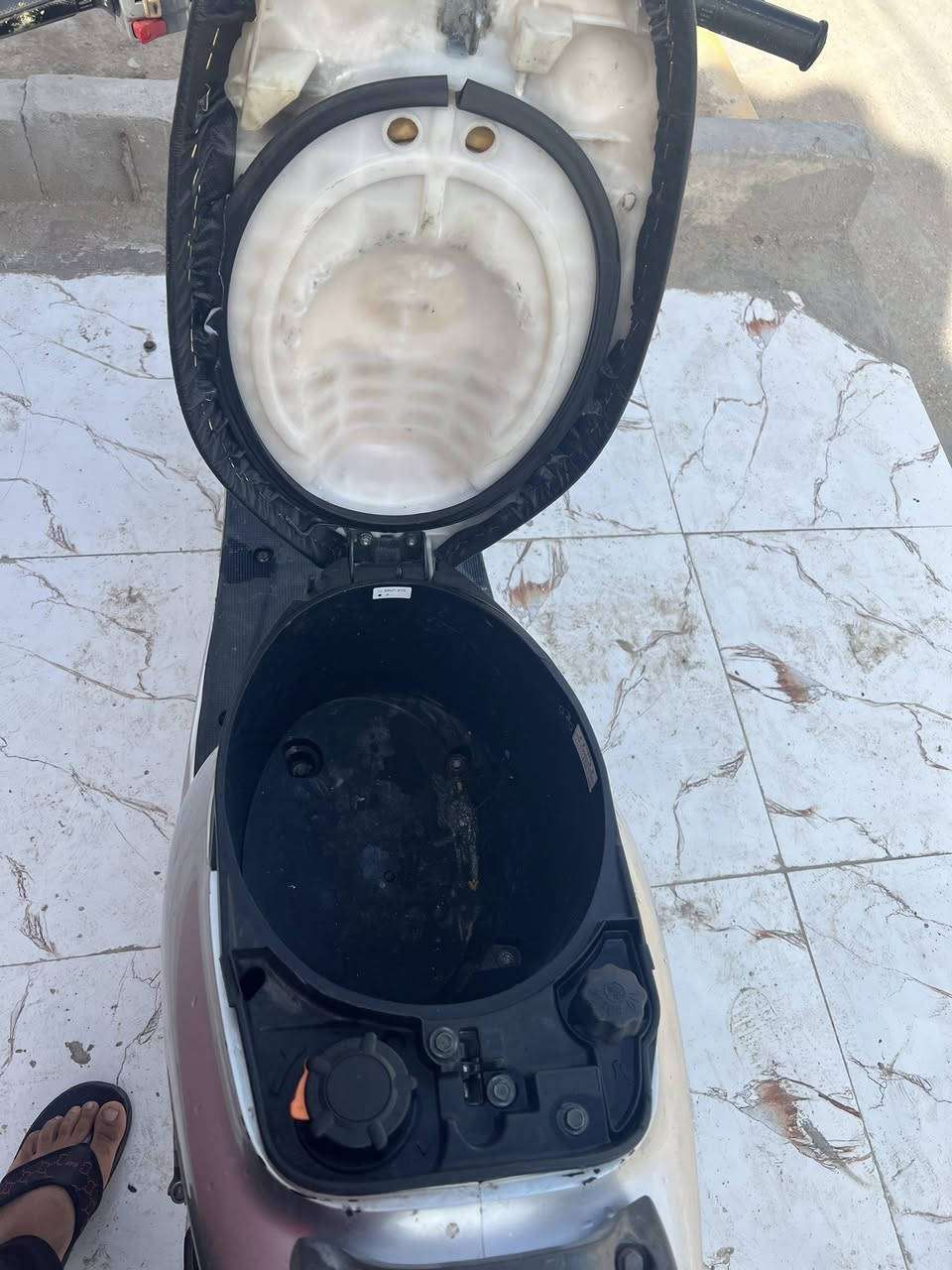 سلام عليكم عصفورية مامفتوحه للبيع نكرة سلف كلة شغالة مابيه نقص سعر 550 مجال قليل مكان ناصرية مركز ***********
