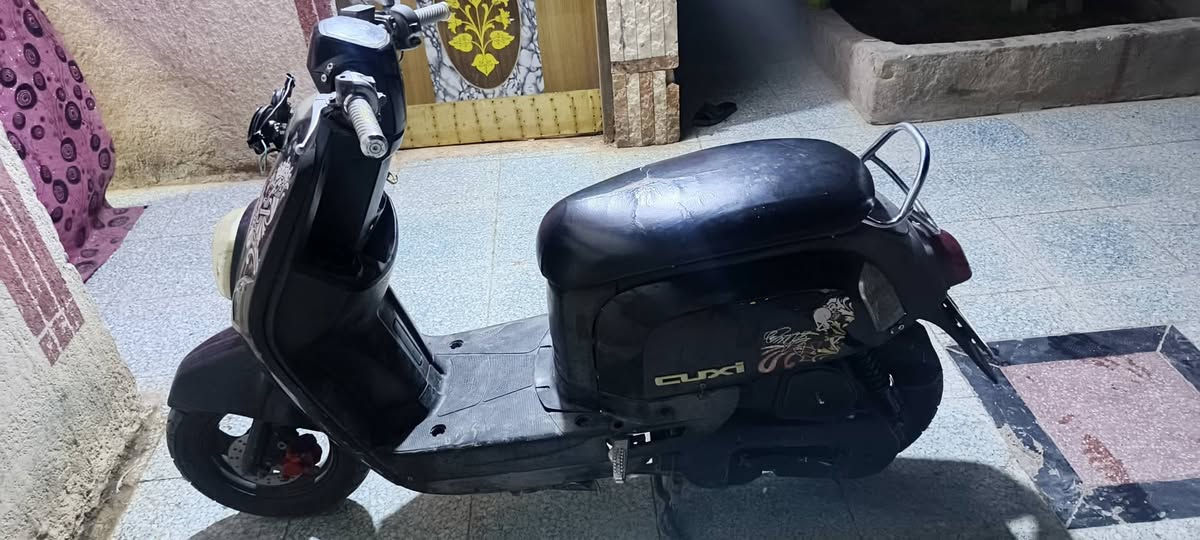 السلام عليكم دراجه ماكس بولس اوراق بيت غودي دراجه ما ناقصها اي شيء كهربائيات سلف كلهل دراجه احلى من الصور بسعر 600 والمو شراي رجاء لا يتعبنا***********
