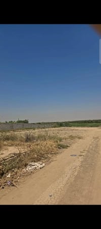 عندي شاطيه  مساحه 3000متر الوجه 30 نزال 100  الموقع عرب جبور  مقاطعه ج...
