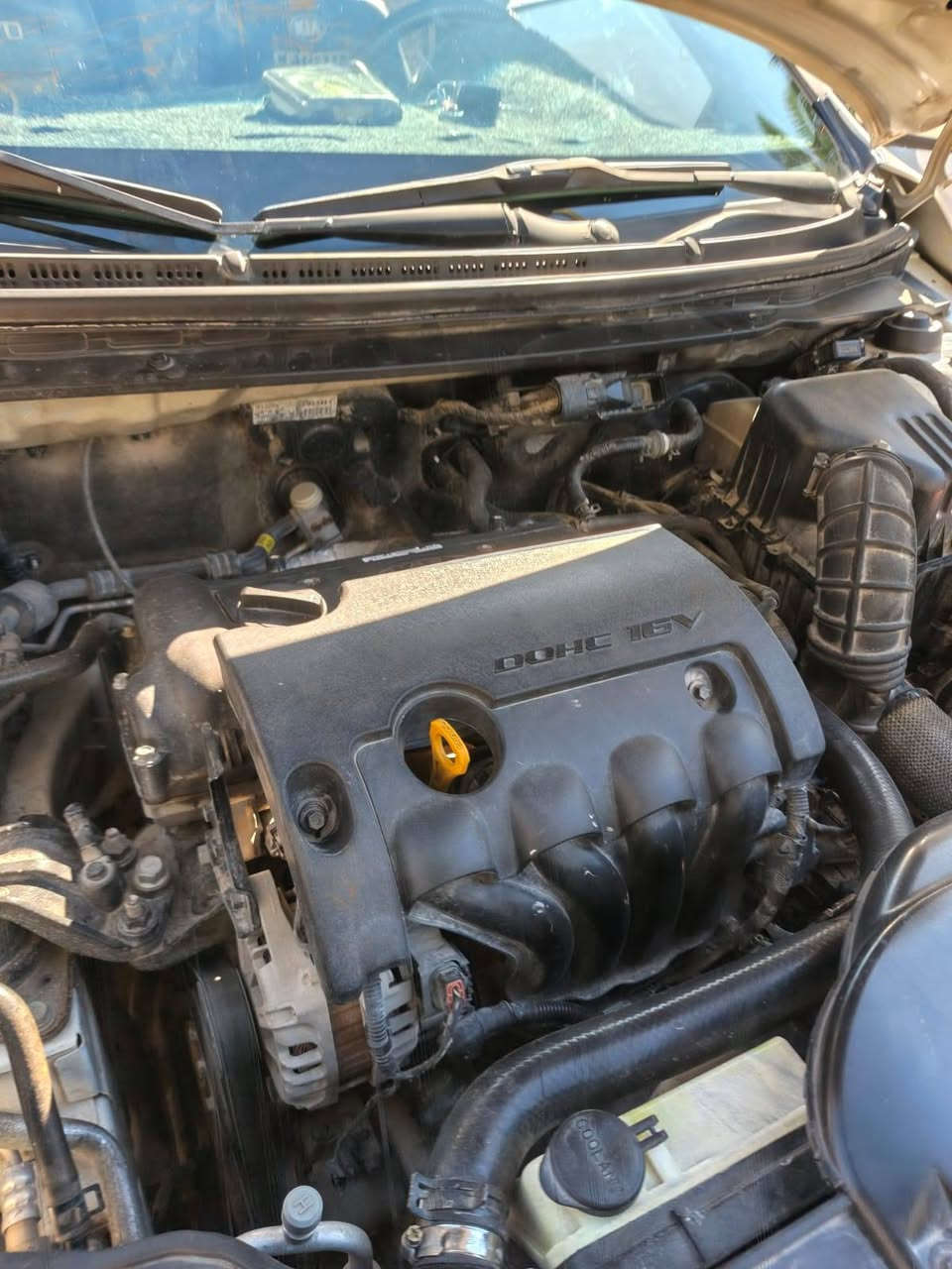 سيراتو 2012
صبغ هلال الجاملغات الخلفيه

مكاني كربلاء للتواصل_

السعر 95 وبيها مجال 

 ***********
