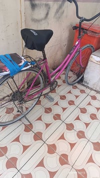 باسكل • موديل 13 • بدون عوج