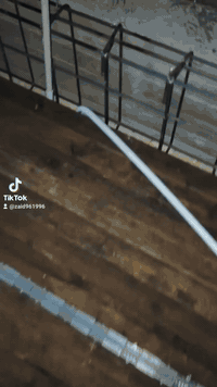 الهم صلي على محمد  
تم اكمال بيت الاستاذ الخلوق وسام أبو علي الخماسي @
موقع العمل نجف الاشرف 
مستعدون لجميع أعمال الماء والكهرباء والمجاري 
من أسرار النجاح في الحياة النظرة إلى الماضي ومكافأة أنفسنا على الإنجازات التي حققناها، مع حمد وشكر لله والتفاؤل ونشر الطاقة الإيجابية. اللهم لك الحمد  حمداً خالداً مع خلودك ولك الحمد حمداً دائماً لا منتهى له دون مشيئتك وعند كل طرفة عين وتنفس نفس 
اتصل ***********
 @إشارة الكل
