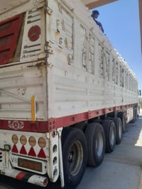 عربانه • شاصي حدادي • خمس محاور