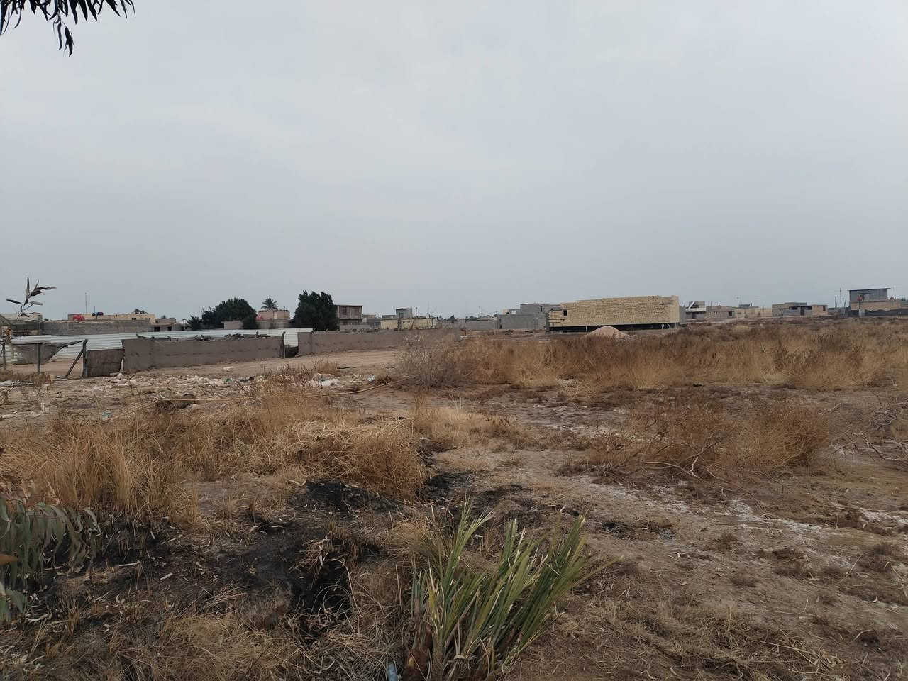 السلام عليكم قطعة أرض للبيع المساحة ٣٠٠٠ متر طابو صرف سند 25 كربلاء طوريج الرجيبة واجهة ٢٠ متر والنزال ١٥٠ متر الكهرباء والماء ١٠٠ متر عنها سعرها جدااا مناسب للاستفسار الاتصال على الرقم *********** او ***********
