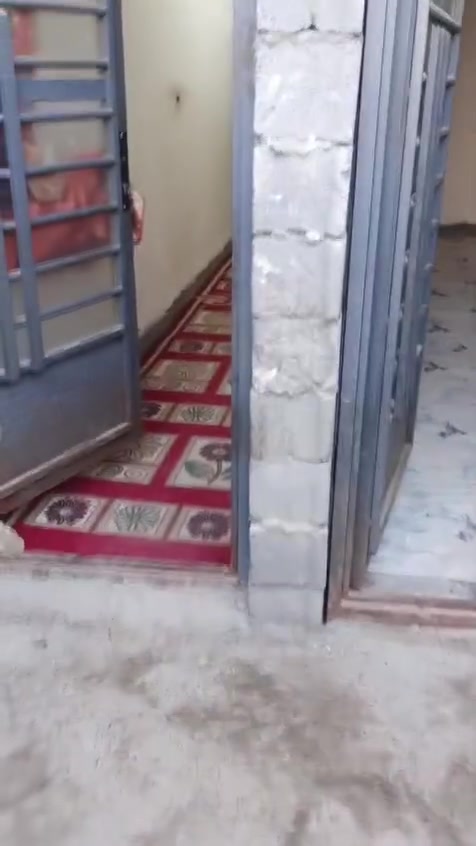 الحميديه شارع سيد عوده الستفسار ***********
