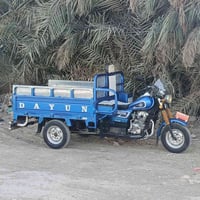 ستوته ٢٠٢٣ • رقم انكليزي • كوت الشراي