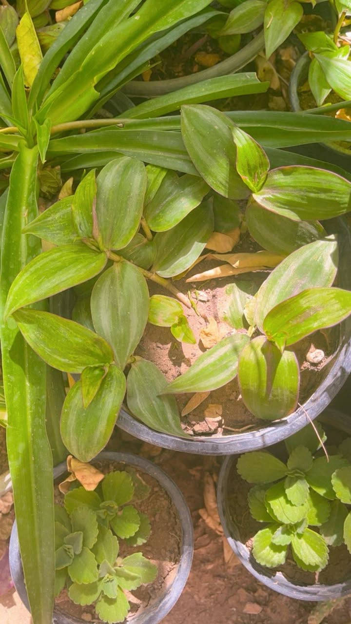 لطلب والاستفسار مراسلة الصفحه يوجد خدمة توصيل خانقين


**إذا كنت صاحب هذا الإعلان وتريد حذفه لأي سبب، رجاءا أرسل رسالة إلى الدعم الفني**