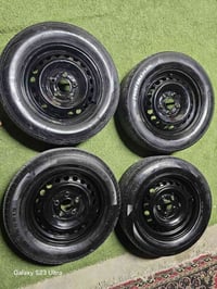 تخم ويل اصلي • قياس 15 • البصرة