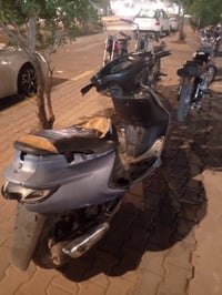 فراشة فحل • دسك • شغاله