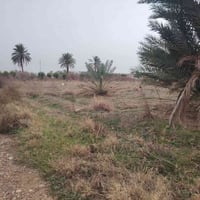 أرض زراعية • دونم • قضاء بلد