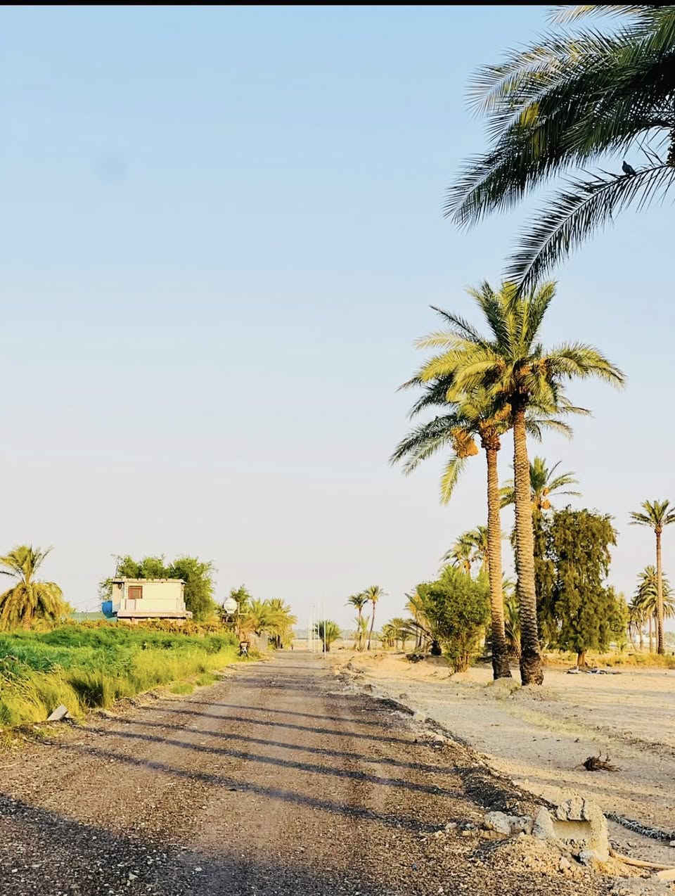 سلام عليكم دوانم طابو زراعي سند 25 الموقع بغداد ابو غريب منطقة السميلات قرب تقاطع السميلات  دوانم سند مستقل بستان 
دوانم مخدومة بل كامل من شوراع قشط وكهرباء وماء سقي التواصل وتساب او اتصال ***********
