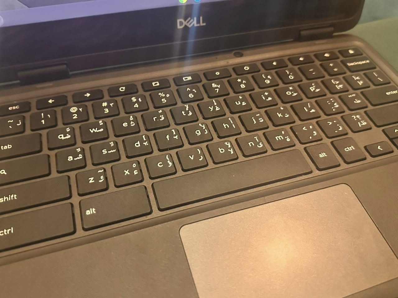 لابتوب ديل قلاب شاشه لمس للبيع السعر 100 الف


**إذا كنت صاحب هذا الإعلان وتريد حذفه لأي سبب، رجاءا أرسل رسالة إلى الدعم الفني**