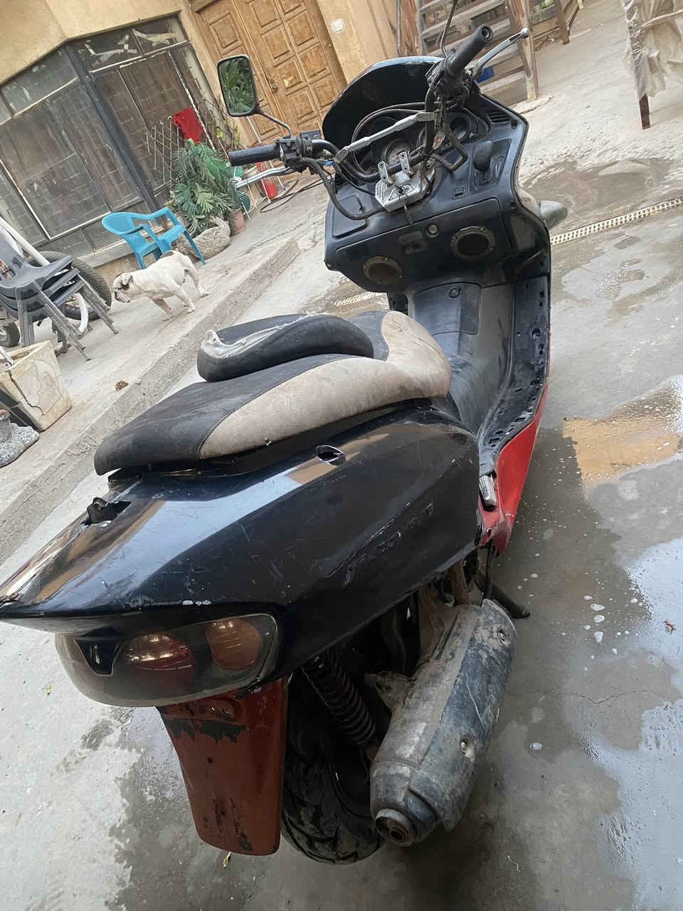 للبيع فورزة بومة  0.6  موديل 2011مكينه وكير شادهم جديدات كهربائيات شغالة ما عوزها شي
للاتصال :
***********
