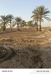 واسط العزيزيه • ١١دونم • ارض زراعيه بستان