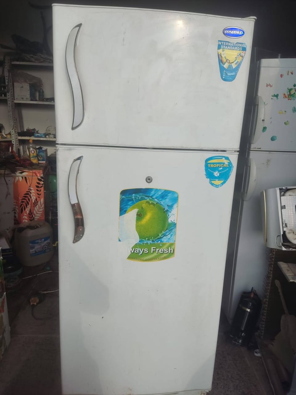ثلاجه نوع كونكورد حجم كبير نظيفه للبيع السعر 150وبيها مجال قليل  مكاني الديوم مقابل الملعب


**إذا كنت صاحب هذا الإعلان وتريد حذفه لأي سبب، رجاءا أرسل رسالة إلى الدعم الفني**