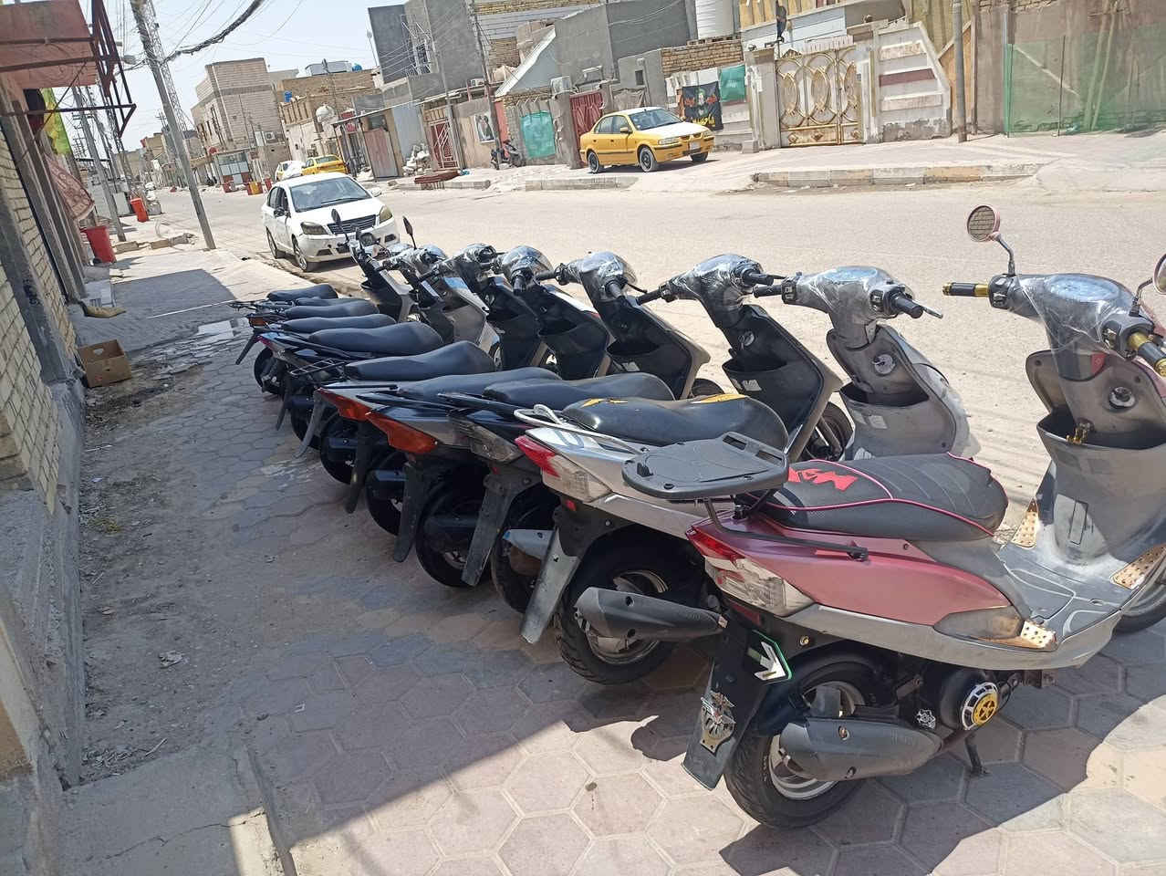 درجات ماكسات منغولي زائد ماكس عدله بوشه 49 كامل مواصفات كل نقص ما بيهن مكاني ناصريه الشهداء ***********1
