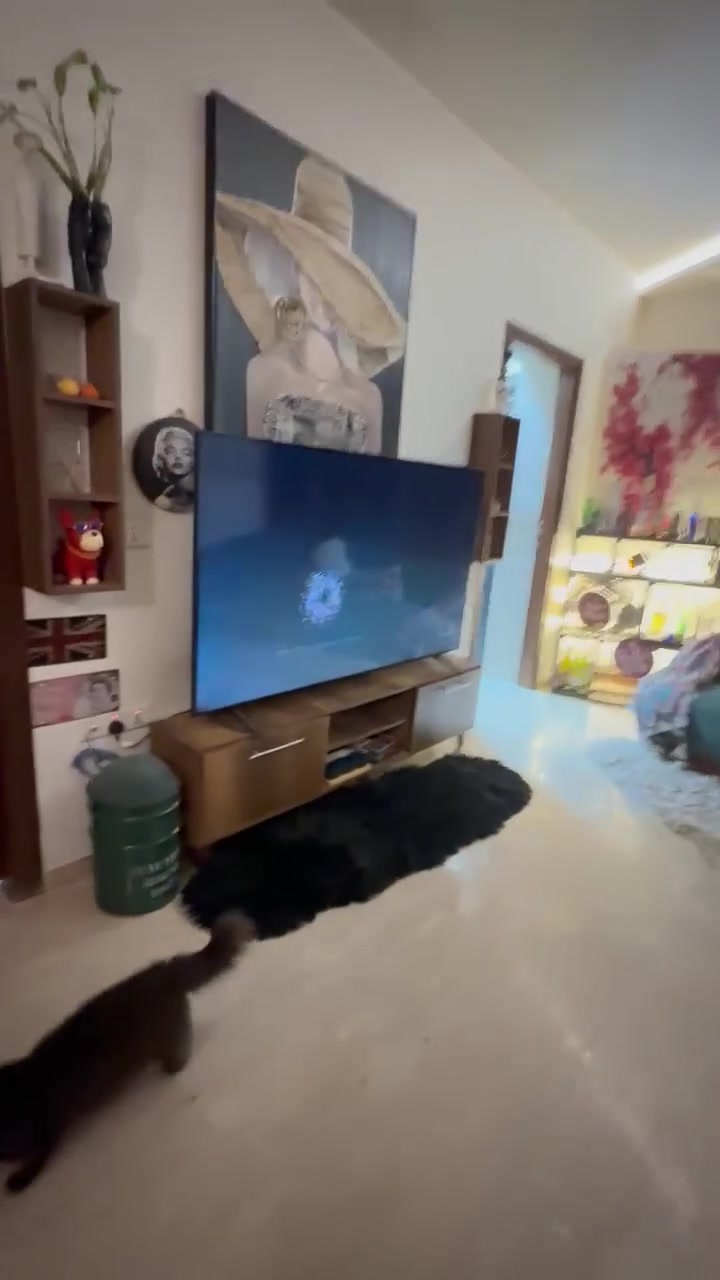 أغراض بيت  شلعة وحده
مطبخ كامل سنك+ فرن غطس + فرن داخلي +ساحبة  + خزن 
غسالة panasonic   ٨ كيلو
براد هيتاشي  قياس كبير 
قنفات  لون زيتوني حجم كبير عدد ٢ 
طقم قنفات كامل  ٢ صغار لون احمر     و ٢ قنفات ثلاثية  لون أسود  (غير موجودين بالفيديو)
سبلت  ١ طون 
سبلت  طون ونصف 
طاولة شاشة  مع ديكور
طاولة نص 
كل الأغراض  بحالة ممتازة  موجودين  في بغداد الداوودي 
للتواصل  ‎0776 248 3916
