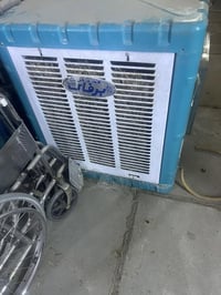 للبيع • موجودين • بغداد المشتل