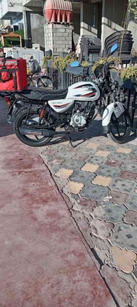 بوكسر كلاسيك • موديل ٢٠٢٣ • ديالى