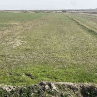 الصويره • ١٠ دونم • طابو سند ٢٥