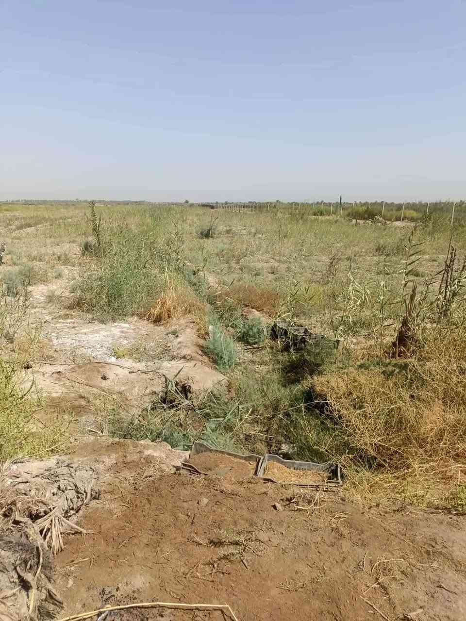 اللهم صل على محمد وآل محمد
أرض للبيع المساحه 10 دونم طابو زراعي سند 25 تحويل مباشر بأسم المشتري بأسم شخص واحد ينباعن كلهن او نص العنوان كربلاء طويريج ناحية الخيرات يبعدن عن الناحيه 300 متر واجهيه85 السعر خاص للأستفسار الأتصال على الأرقام الموجوده 
***********
***********
