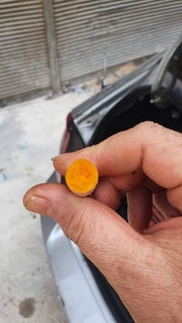 سندلس تركي • عصي • كوك نارجين