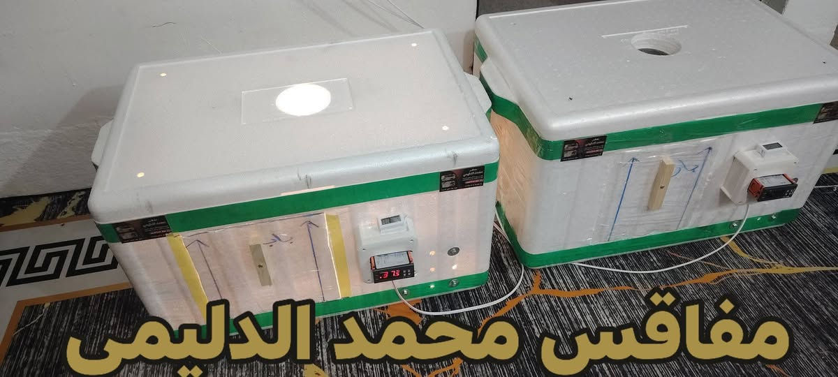 (مفاقس محمد الدليمي)،
فقاسات مصنوعة من مادة الفلين المعزولة للحفاظ على درجة الحرارة المناسبة لتفقيس البيض.

🔹 المواصفات الأساسية:

✅ صناعة محلية بجودة عالية

✅ مزودة بجهاز رقمي للتحكم بدرجة الحرارة

✅ توفير استهلاك الكهرباء

✅ مناسبة لتفقيس بيض الدجاج والطيور الأخرى

✅ سعة مختلفة حسب الطلب

🔹 مميزات المنتج:

سهولة الاستخدام

دقة في ضبط الحرارة

عزل حراري ممتاز

تصميم عملي وخفيف الوزن

يتوفر توصيل جميع محافظات العراق🇮🇶

📞 للحجز أو الاستفسار، تواصل معنا عبر الرسائل أو الاتصال المباشر *********** واتساب
#الجميع
