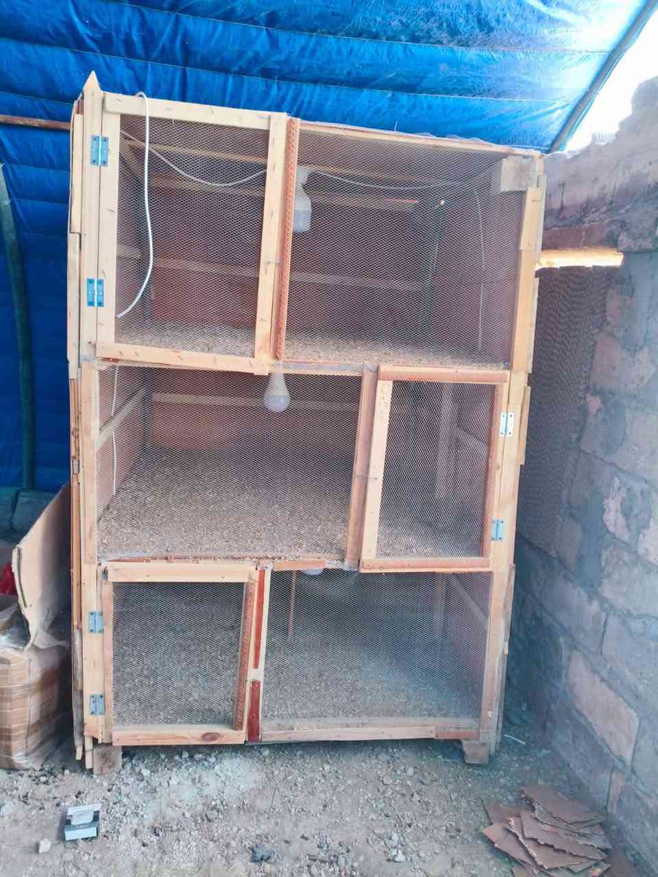 السلام عليكم ورحمه الله وبركاته 
يوجد بيت زجاجي 9 اقواس مع ليلون 
ويوجد فقاسه كامله ما مستخدمه سعة 1500 بيضه ويوجد صوبه نفطيه ويوجد مفرغات عدد 3
ويوجد اقفاص للافراخ عدد 2 
ويوجد معالف ماء واكل 
كل شي وسعره الي يريد يتواصل خاص او يتصل ***********
