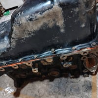 سايبا • بيجو • بصرة
