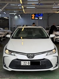 كورلا • ٢٠٢٤ • رقم اربيل