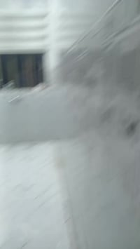 الفلوحه الشهداء • ١٢٥م • طابق واحد