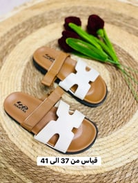 سلبرات • ولادي نسائي رجالي • قياسات بالصوره