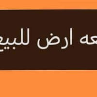 الجمعيه الثانيه • ١٠٠م • طابو صرف