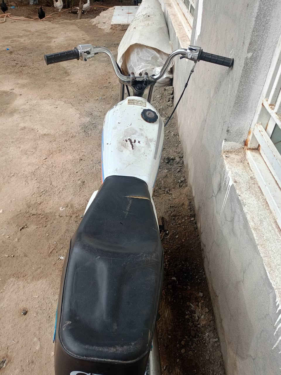 امراوس بدراجه ماكس شعدك نزل

اربعه كير كلك بس مكفوله من السرقه ومن العشاير
رقم الهاتف : ***********
