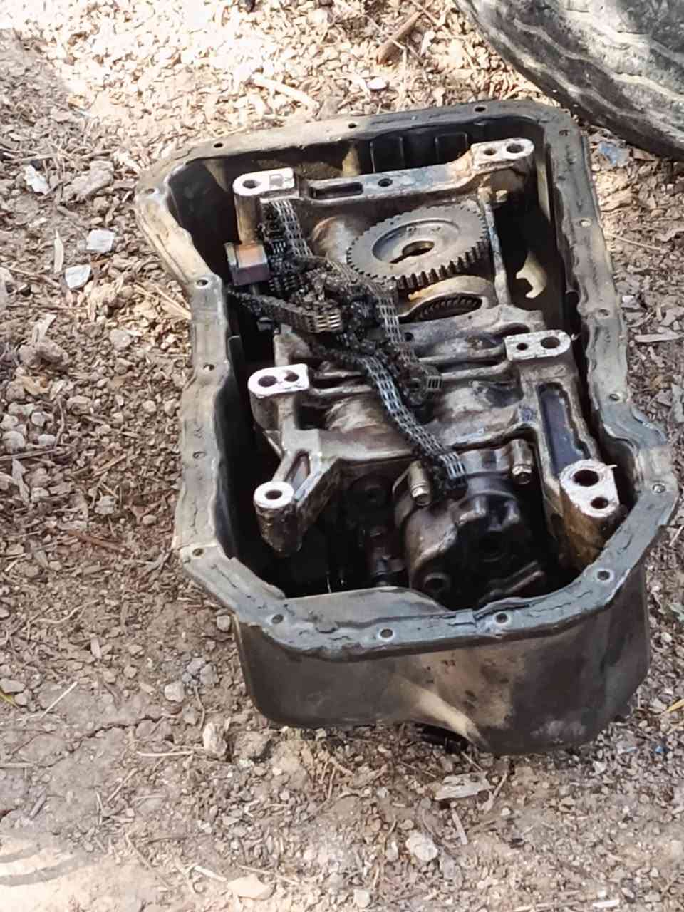 السلام عليكم مكينة 25 مال نيسان للبيع مكينه بس يحتاجلها تجفيت والسعر قيم باليرضي الله متواجد خاص


**إذا كنت صاحب هذا الإعلان وتريد حذفه لأي سبب، رجاءا أرسل رسالة إلى الدعم الفني**