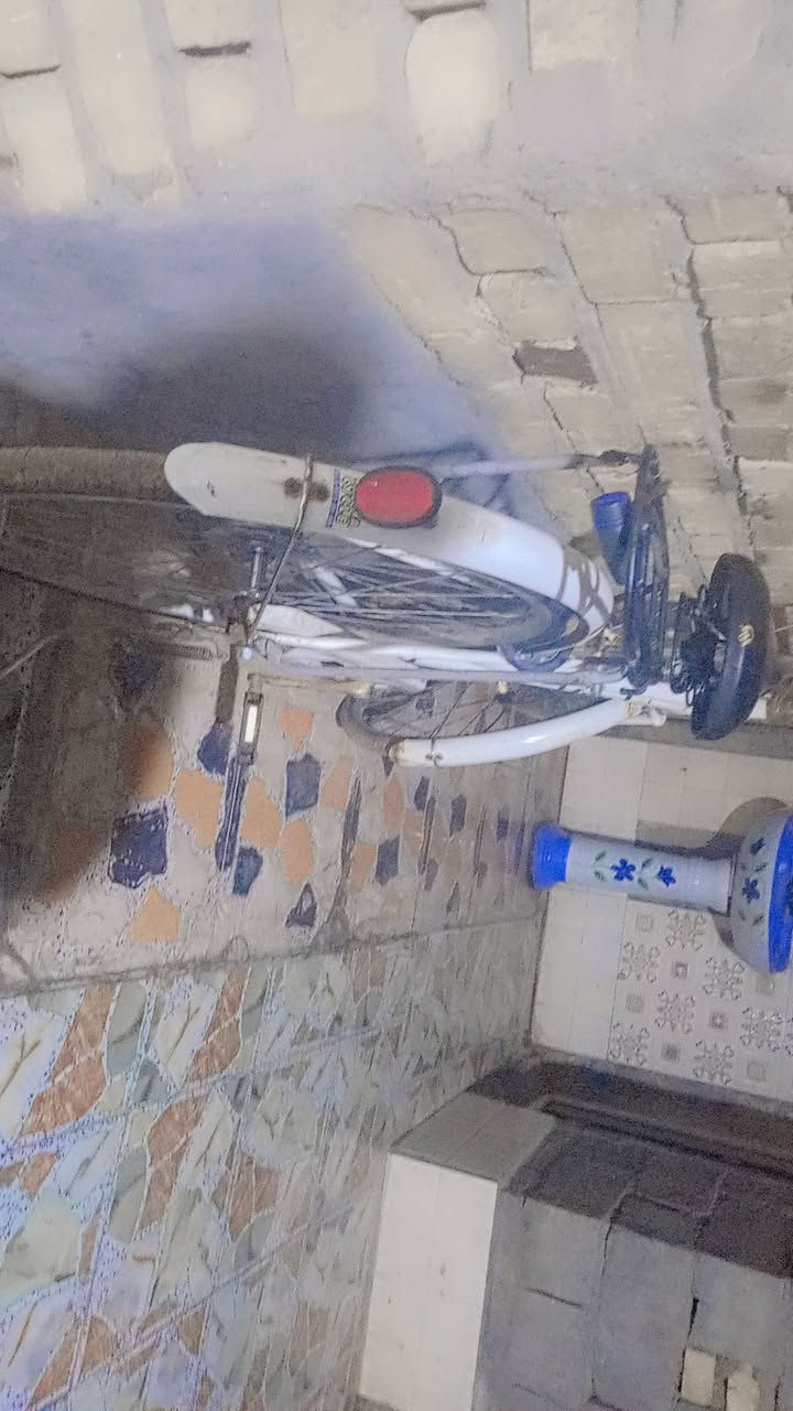 سلام عليكم بيسكل اخت جديد تجي و وتشوفه حلو حجم 206 بسعر 120
مكاني ميسان حي العسكري قرب مدرسة المربد مرسله على خاص


**إذا كنت صاحب هذا الإعلان وتريد حذفه لأي سبب، رجاءا أرسل رسالة إلى الدعم الفني**